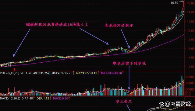 巴菲特点破中国股市：现在起如果不炒股，5年后，会有多大不同？