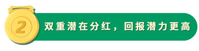 高性价比现金流！中国人寿（海外）上新「丰盛连年」