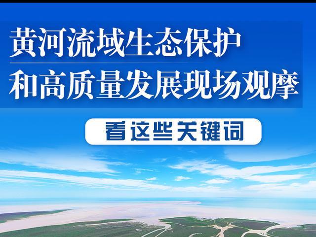 从数据看大势丨徐建伟：7.1%展现加力提速工业经济成效