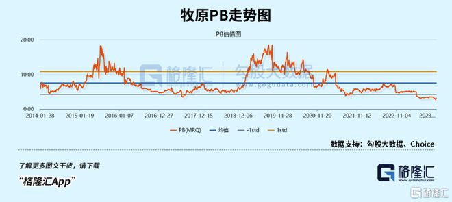 大白马的狂欢不会缺席