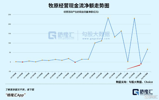 大白马的狂欢不会缺席