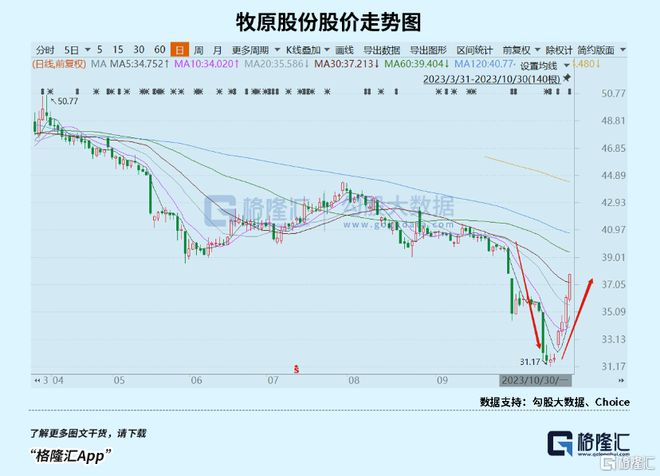 大白马的狂欢不会缺席