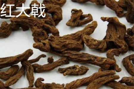 大戟和红大戟的区别与功效