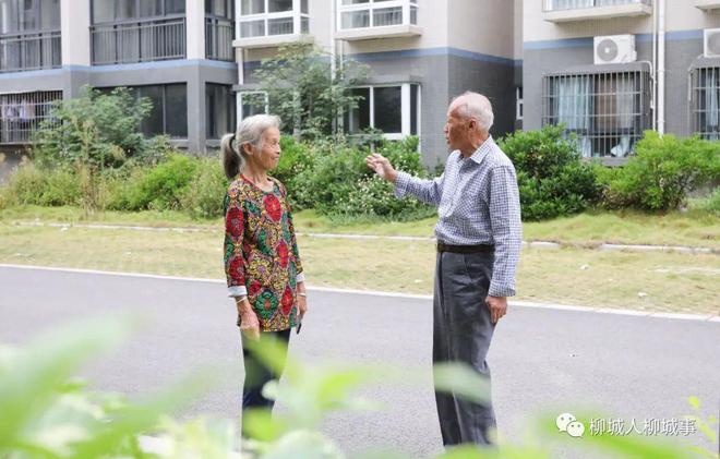 柳城这些人“红本本”拿到手，少不了他们的帮忙……