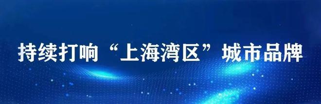 赞！金山企业被收录进《2023年G20可持续金融报告》