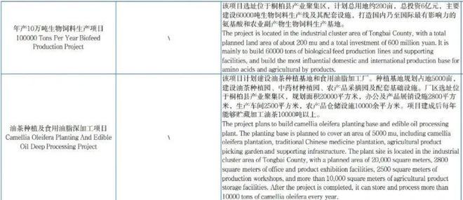 中国侨商投资（河南）大会系列宣传——南阳