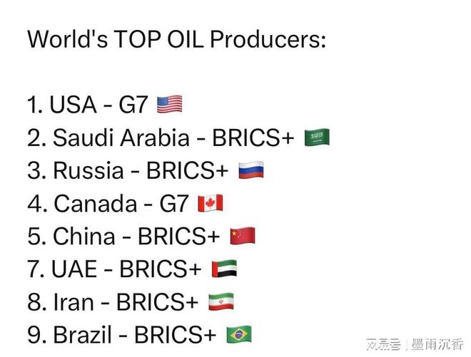 世界上最大的石油生产国及所属组织