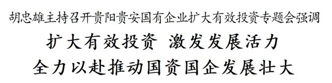 胡忠雄主持召开贵阳贵安国有企业扩大有效投资专题会