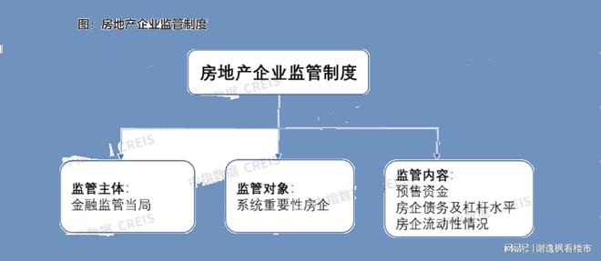 谢逸枫：房地产风险化解之道在哪里？新一轮救市方案即将实施