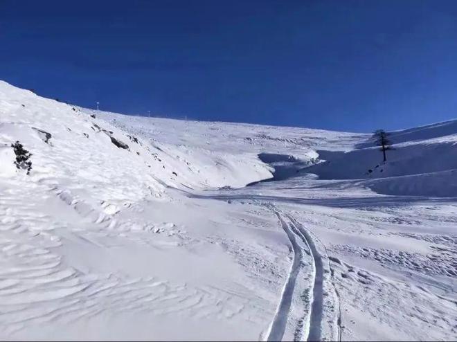 国内唯一满级滑雪女教练在滑雪场身亡，是“跟拍”的锅吗？