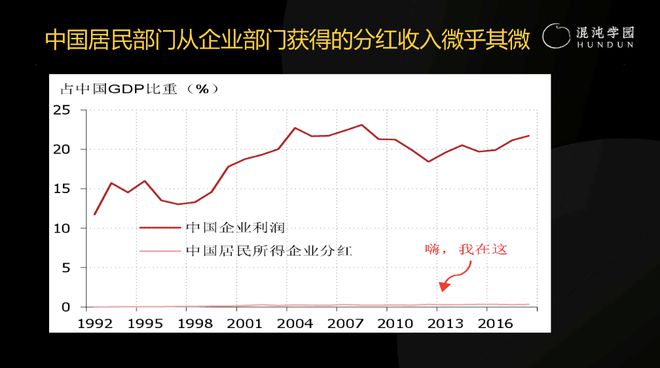 徐高：为什么说，“成功的商人不懂宏观经济学”