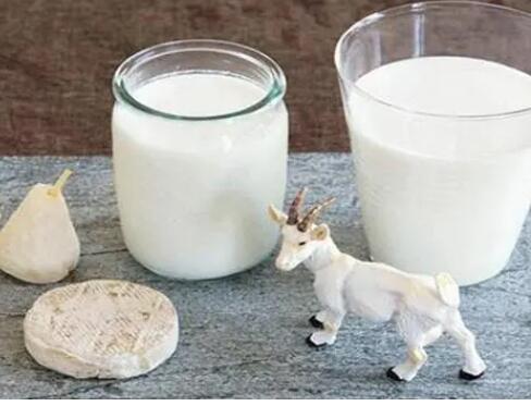 羊奶粉的好处和功效，喝羊奶粉对身体有什么益处？