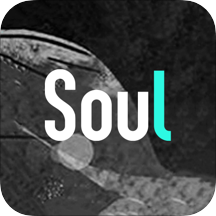 soul下载安装最新版新版