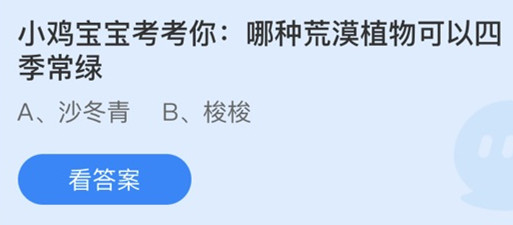 蚂蚁庄园：小鸡宝宝考考你哪种荒漠植物可以四季常绿