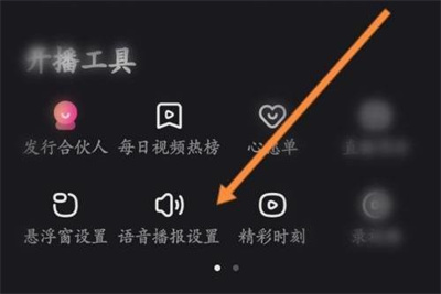 快手直播伴侣语音播报怎么变音