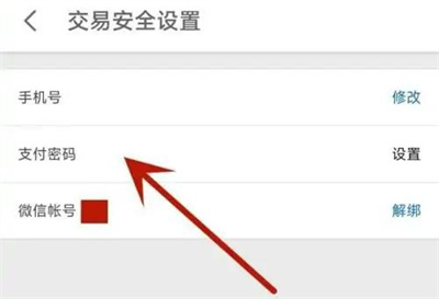 支付宝钱包设置密码怎么设置