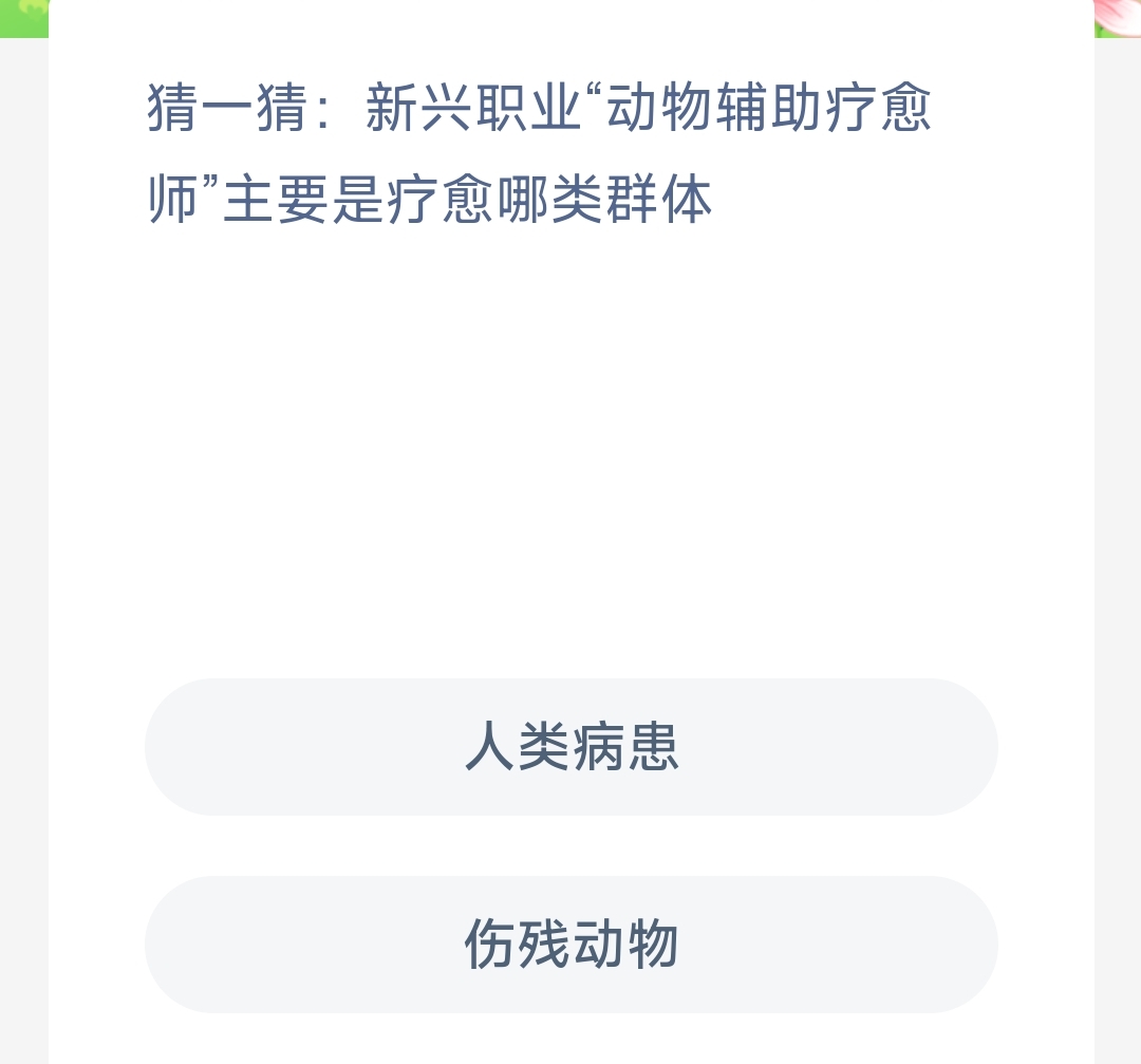 猜一猜新兴职业动物辅助疗愈师主要是疗愈哪类群体