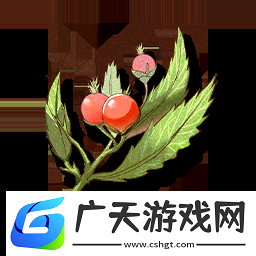 鸣潮每日清茶如何获得