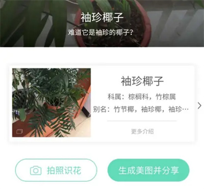 微信小程序识别花草的软件