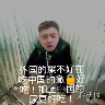 伏拉夫盒app